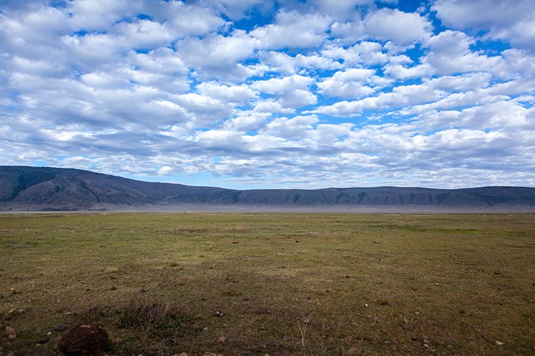 TZA ARU Ngorongoro 2016DEC26 Crater 017
